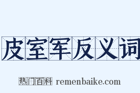 皮室军反义词是什么意思的图片